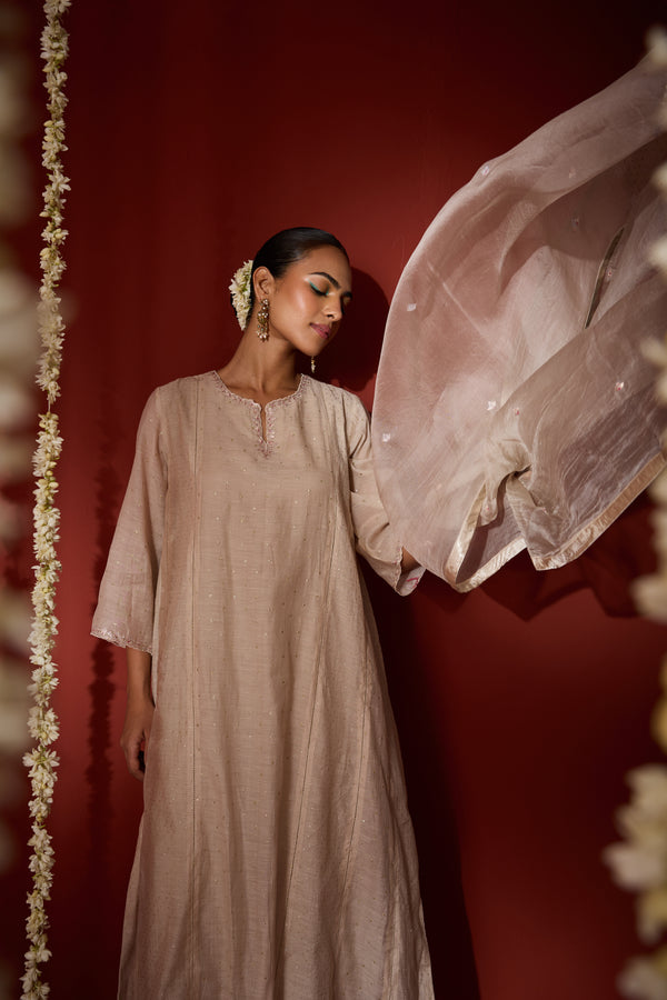 Organza Dupatta - Beige