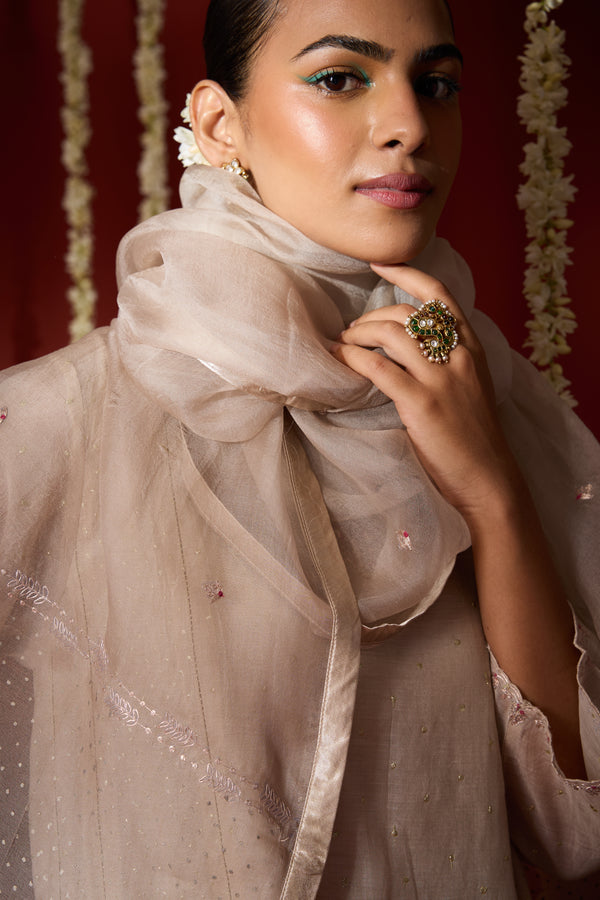 Organza Dupatta - Beige