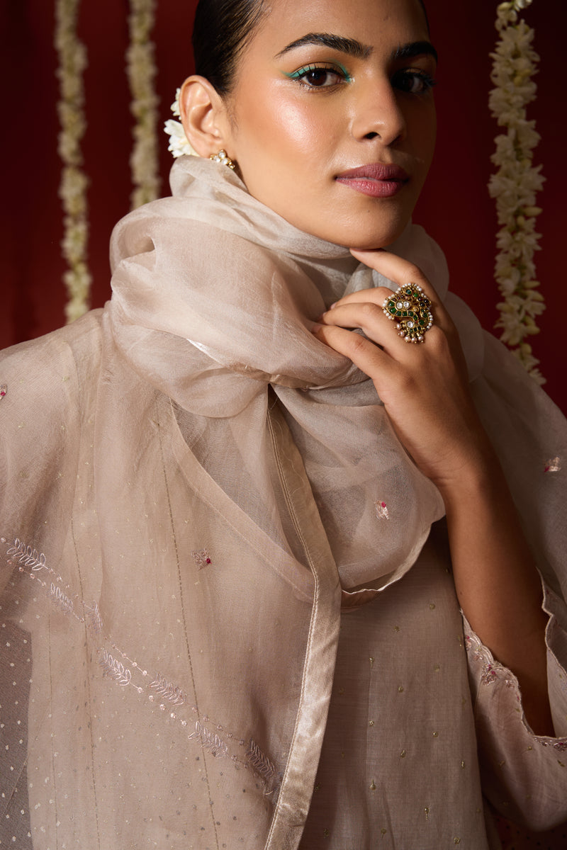 Organza Dupatta - Beige