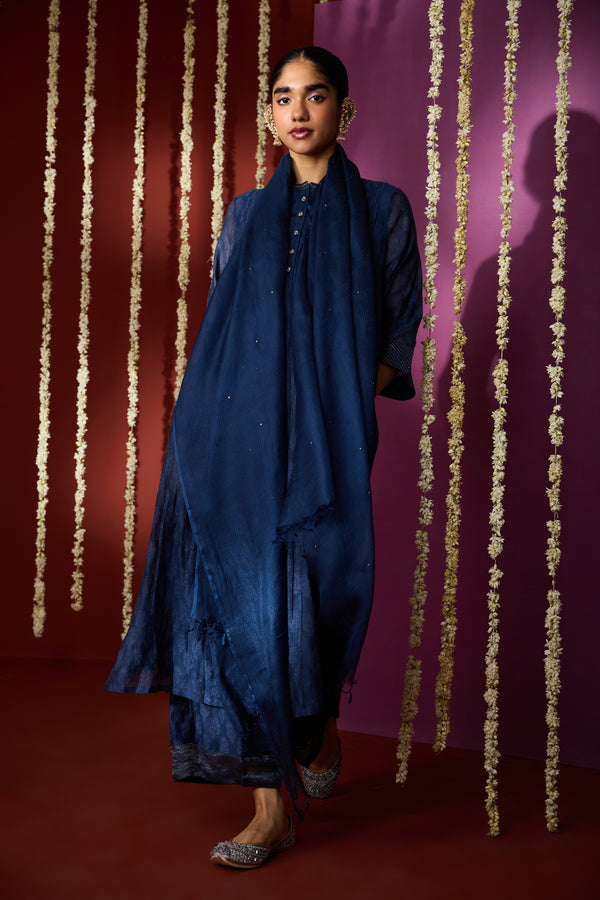 Cotton Kota Doria Dupatta - Blue