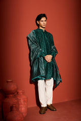 Tissue Dupatta - Green