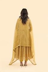 Organza Dupatta - Yellow