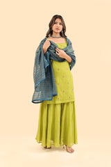 Organza Zari Dupatta - Blue