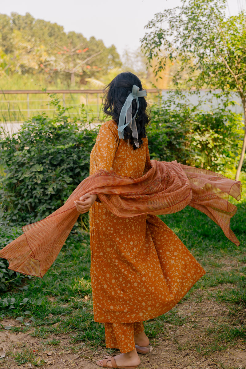 Cotton Kota Doria Hand Block Printed Dupatta - Rust