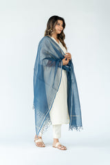 Cotton Kota Doria Dupatta - Blue