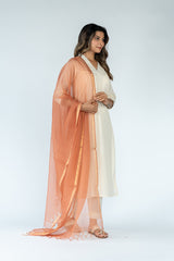 Cotton Kota Doria Dupatta - Rust