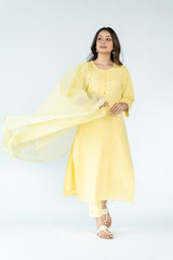 Cotton Khadi Printed Kurta - Lemon Yellow