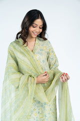 Kota Doria Dupatta - Pista Green