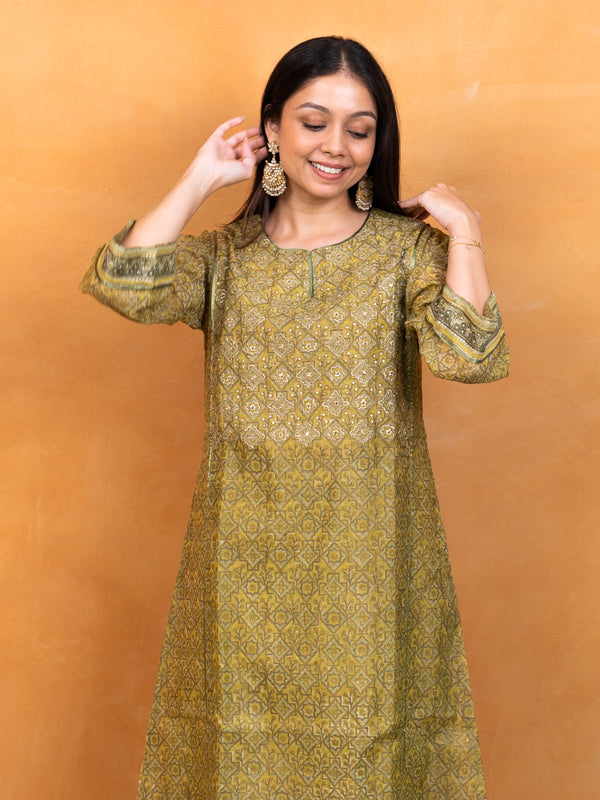 Chanderi Hand Embroidery Kurta - Light Green