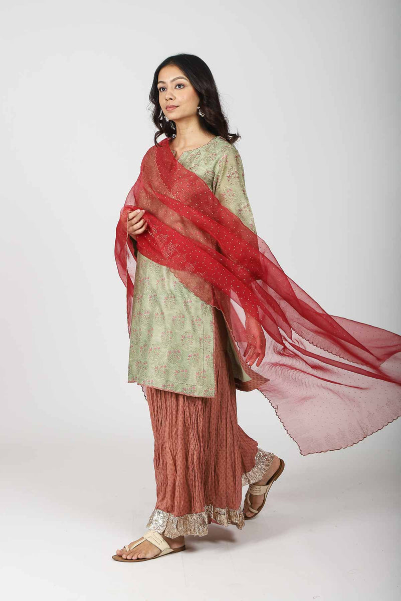 Organza Hand Block Printed Dupatta - Red